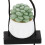 5Pièces Accessoires Suspendus Cactus En Résine Colorée 11