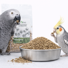 Tivo Ostropest Plamisty Dla Papug - Naturalny Dodatek Roślinny 100G
