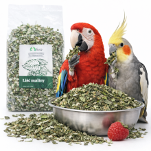 Liść Maliny Dla Papug - Naturalny Dodatek Roślinny | 150 G