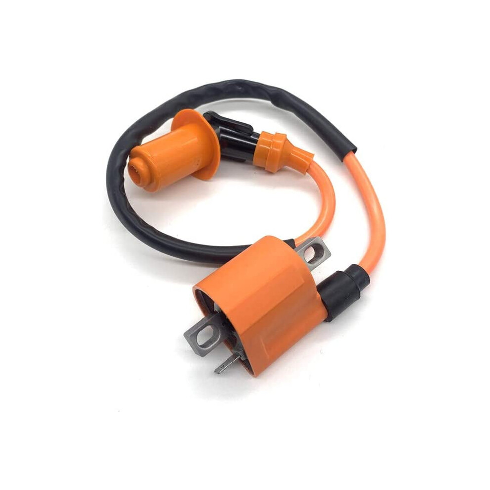 Racing Ignition Coil For Cg 125Cc 150Cc 200Cc 250Cc Atv Dirt Pit Bike Go Kart Moped Scooter 9422877808281