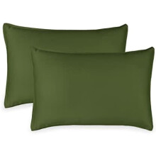 Organic Bamboo Viscose Queen Pillowcases 2 Pack