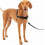 Easy Walk Hundesele Medium Sort Sølv 1