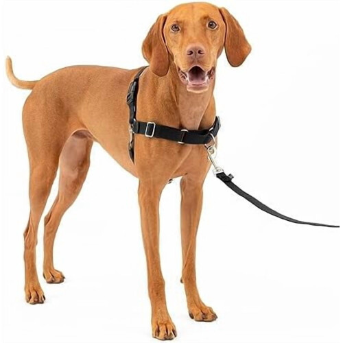 Ζώνη Easy Walk για σκύλους – Χωρίς τράβηγμα, θηλιά Martingale, μπροστινό κλιπ λουριού,
