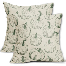 Saliegroene pompoen kussenhoezen 20x20 inch, set van 2