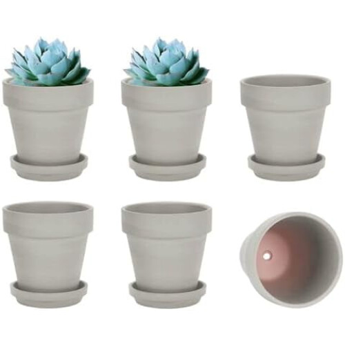 Terrakottakrukor med fat, 6-pack, 13 cm