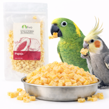 Chrupiąca Papaja Liofilizowana Dla Papug - Naturalny Przysmak Owocowy | 20 G
