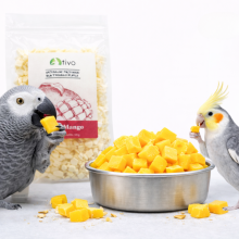 Chrupiące Mango Liofilizowane Dla Papug - Naturalny Przysmak Owocowy | 20 G