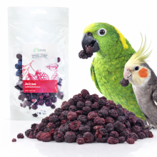 Chrupiąca Jeżyna Liofilizowana Dla Papug - Naturalny Przysmak Owocowy | 20 G