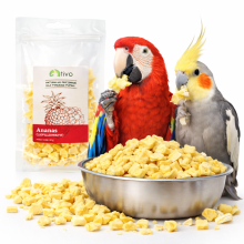 Chrupiący Ananas Liofilizowany Dla Papug - Naturalny Przysmak Owocowy | 25 G