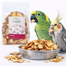 Chrupiące Jabłko Dla Papug - Naturalny Przysmak Owocowy | 100 G