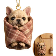 Koselig innpakket kryp-ornament, 2D akryl bilspeilhengende sjarm, søt dyrespeildekorasjon for bilinteriør (XX)