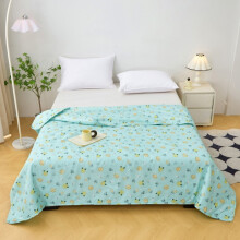 Wendbare Mikrofaser-Steppdecke mit Karomuster (60 x 40 Zoll)