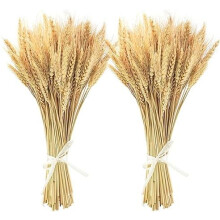 Dried Wheat Stalks Natural 100 Stems 45 cm