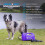 Mud Daddy – Portable Pet Washer, Multipurpose Washing Device, Muddy 2