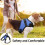 FYY Dog Harness No Pull, Breathable Adjustable Pet Vest, Reflective 2