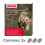 Beaphar Beaphar - Easy One Dose Worming Tablets For Small Dogs Weighing up to 3