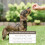 Beaphar Beaphar - Easy One Dose Worming Tablets For Small Dogs Weighing up to 5