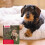 Beaphar Beaphar - Easy One Dose Worming Tablets For Small Dogs Weighing up to 6
