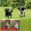 Beaphar Beaphar - Easy One Dose Worming Tablets For Small Dogs Weighing up to 7