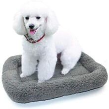 Pet Bed Mat 16 x 22 in with Raised Rim & Non-Slip Base