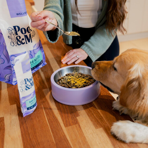 Pooch & Mutt Pooch & Mutt - Mobile Bones, Supplement for Dog Joints (Comfort, 2