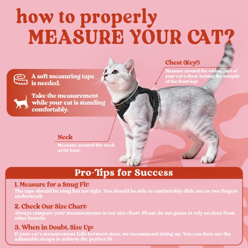 rabbitgoo Cat Harness and Lead Set, Escape Proof Kitten Harness with 1