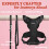 rabbitgoo Cat Harness and Lead Set, Escape Proof Kitten Harness with 7