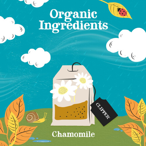 Clipper Fairtrade Organic Infusion Chamomile 250 Envelopes 2