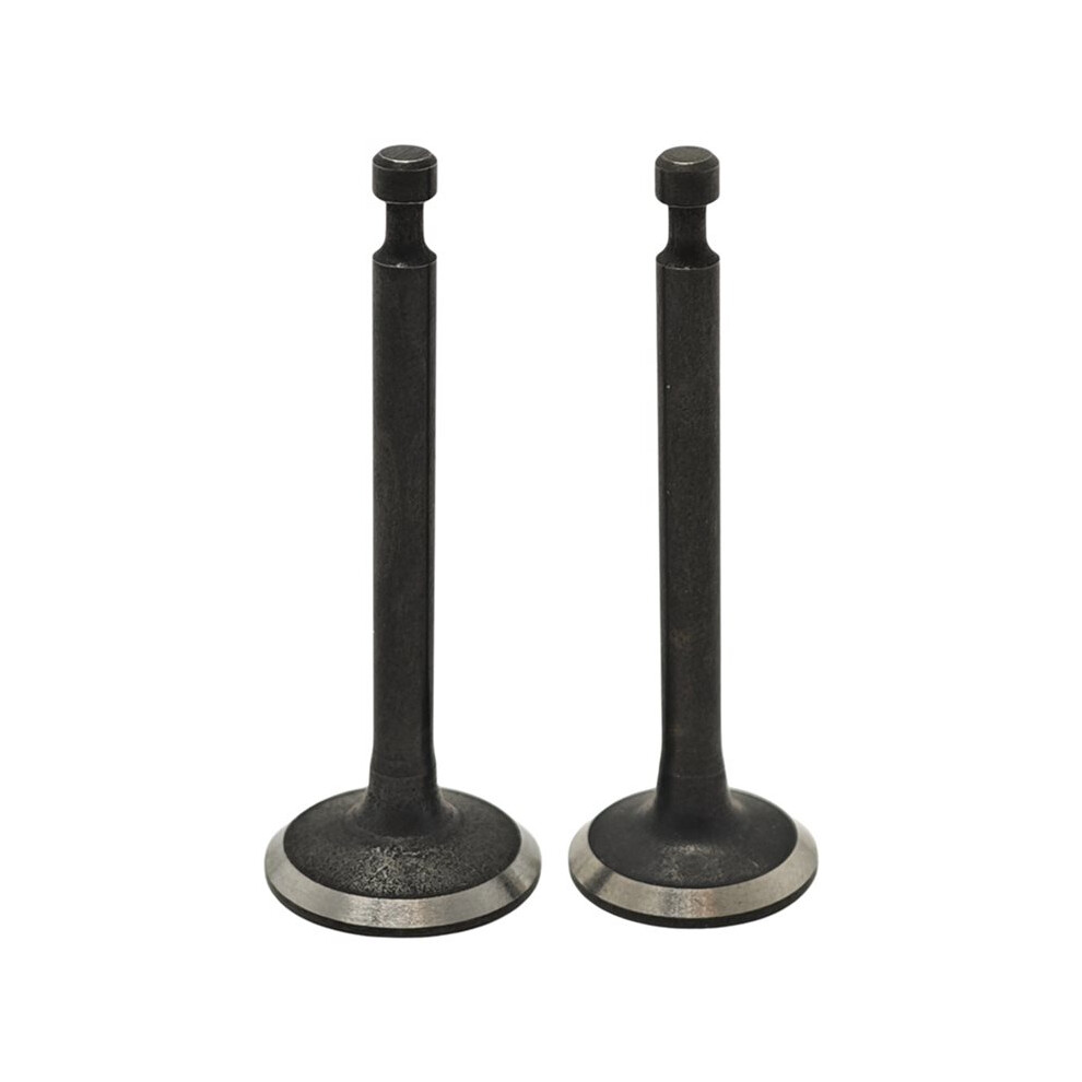 Intake & Exhaust Valve Set For Gx35 Gx35nt Engine Hht35s Umk435 Brushcutter Trimmer Strimmer Parts 14721-Z0z-800 6032923138595