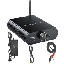 YS-T100W TPA3116 5.3 Mono-Leistungsverstärker, 12-24 V Boost -Audioverstärker, 100 W, Unterstützt App-Steuerung, EU-Stecker