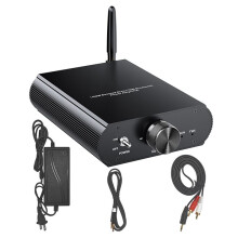 YS-T100W TPA3116 5.3 Mono-Leistungsverstärker, 12-24 V Boost -Audioverstärker, 100 W, Unterstützt App-Steuerung, US-Stecker