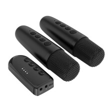 Microfone Sem Fio BT com Dois Microfones para Karaokê e Receptor Recarregável - Microfone Dinâmico Sem Fio