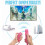 Mando a distancia Wii con Motion Plus rosa 4