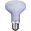 Exo Terra Daylight Basking Spot Bulb, 100 W,Violet 2