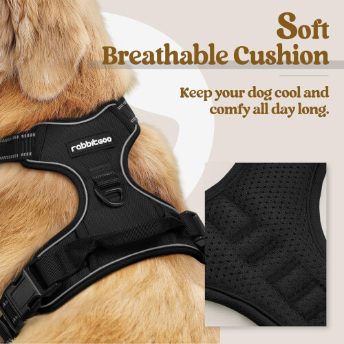 rabbitgoo Dog Harness Large Dog No Pull Pet Harness with 2 Leash 2