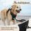 rabbitgoo Dog Harness Large Dog No Pull Pet Harness with 2 Leash 6