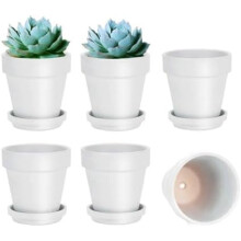 Pots en terre cuite blanche avec soucoupes, 12,5 cm (lot de 6), lot de 6