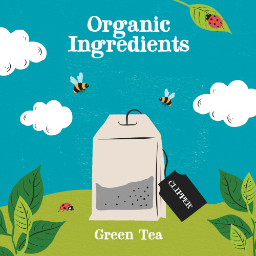 Clipper Fairtrade Organic Green Tea 250 Envelopes 2