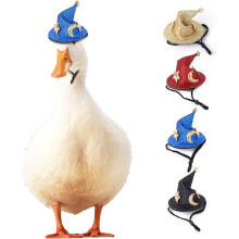 4-Pack Duck Halloween Wizard Pet Hats for Small Pets & Birds