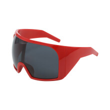 Lunettes de soleil enveloppantes surdimensionnées pour femmes et hommes, verres incurvés futuristes, lunettes de soleil tendance et protectrices