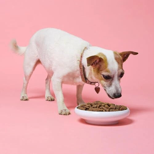 Pooch & Mutt Pooch & Mutt Senior Complete Bundle, 1.5kg Grain-Free Senior Dry Dog 2