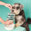 Pooch & Mutt Pooch & Mutt Senior Complete Bundle, 1.5kg Grain-Free Senior Dry Dog 5