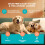 ProElobara Dog Calming Anxiety Relief Diffuser: Comfort Dog Pheromone 2