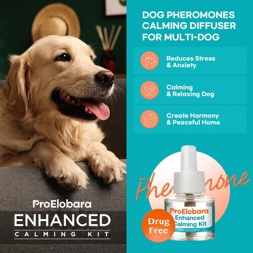 ProElobara Dog Calming Anxiety Relief Diffuser: Comfort Dog Pheromone 2