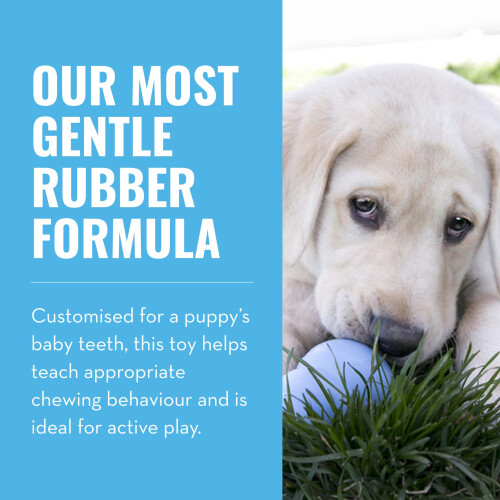 KONG KONG Puppy - Stuffable Teething Chew Toy for Dogs - Natural Rubber 2