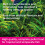King British – Tropical Mini Pellets 55g – Multi-Vitamin Complete 4