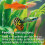 King British – Tropical Mini Pellets 55g – Multi-Vitamin Complete 5
