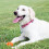 Chuckit! Chuckit - Breathe Right Fetch Ball Large - 1 piece 4