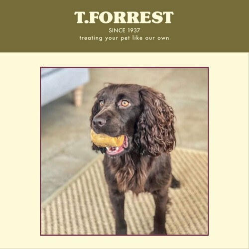 T.Forrest British Roasted Marrow Bones for Dogs (20 Pack) - 100% 2