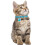 Personalised Engraved Pet ID Tags for Dogs & Cats - Customised with 6
